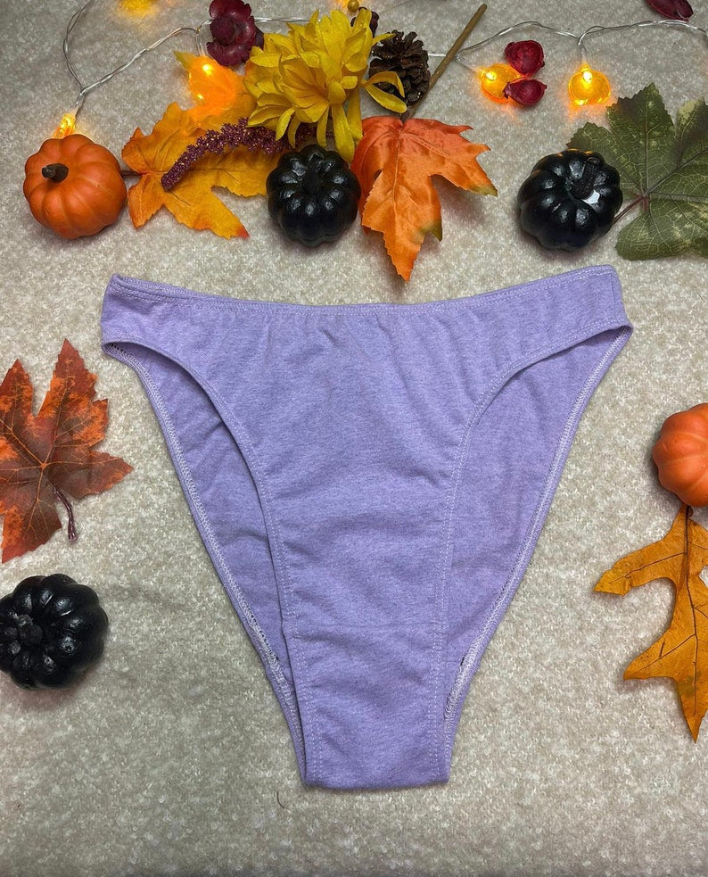 90s High french Cut Organic Cotton Underwear | Handmade in USA