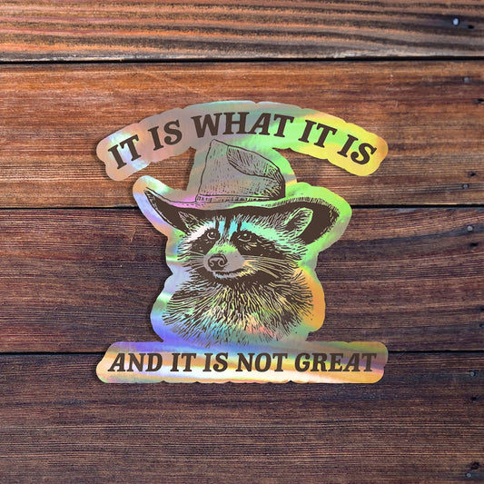 It Is What It Is Sticker, Funny Raccoon Meme Sticker Vintage Raccoon Sticker, Millennial, Gen Z Humor, Cute Raccoon,Waterproof Vinyl Sticker