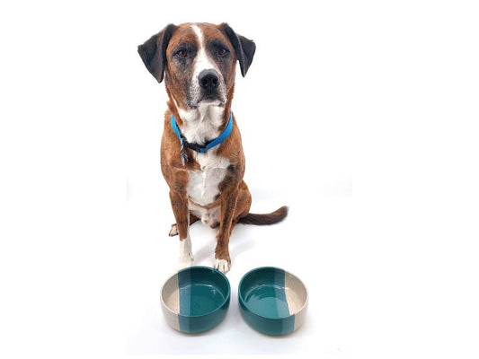 Three Tone Food or Water Handmade Ceramic Dog Bowl | Pottery | Dog Feeder | Dog Dish