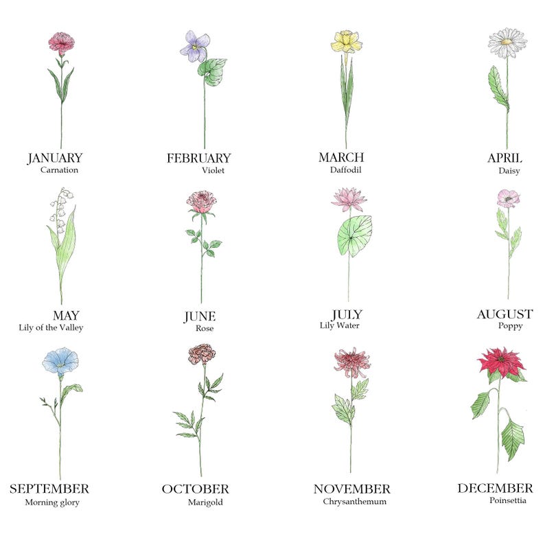 Personalized Sisters Are Different Flowers From The Same Garden Bottle Lamp, Birthday Gifts For Sister, Sister Gifts, Sister Night Light