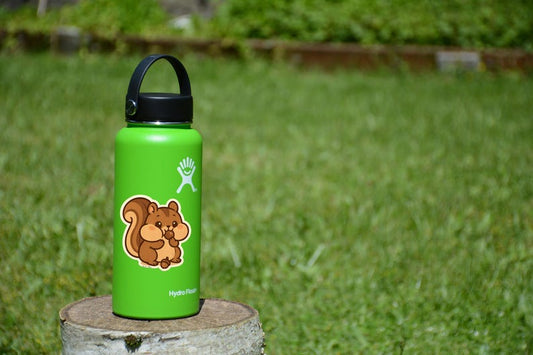 Cute Chipmunk Eating Acorns Sticker – Kawaii Woodland Animal Vinyl Decal for Water Bottles, Laptops, Scrapbooks & More