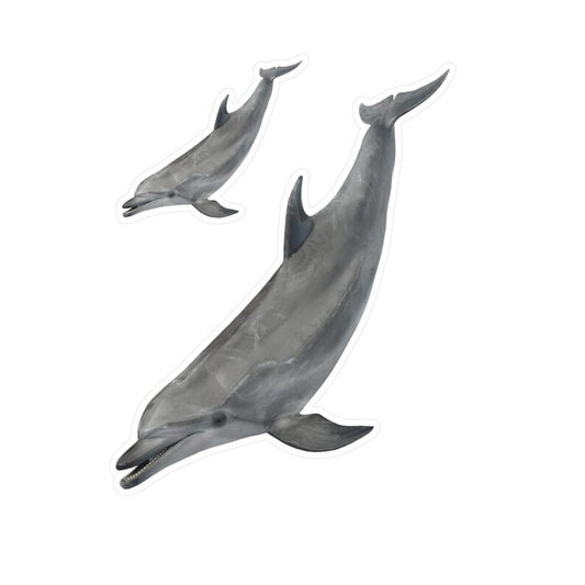 Dolphin Kiss-Cut Vinyl Decals, Ocean Marine Life Decor