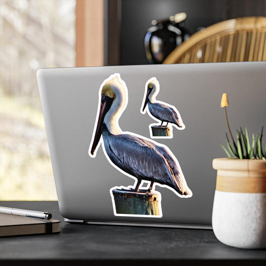 Pelican Vinyl Decal: Coastal Beach Life Sticker, Ocean Lover Gift