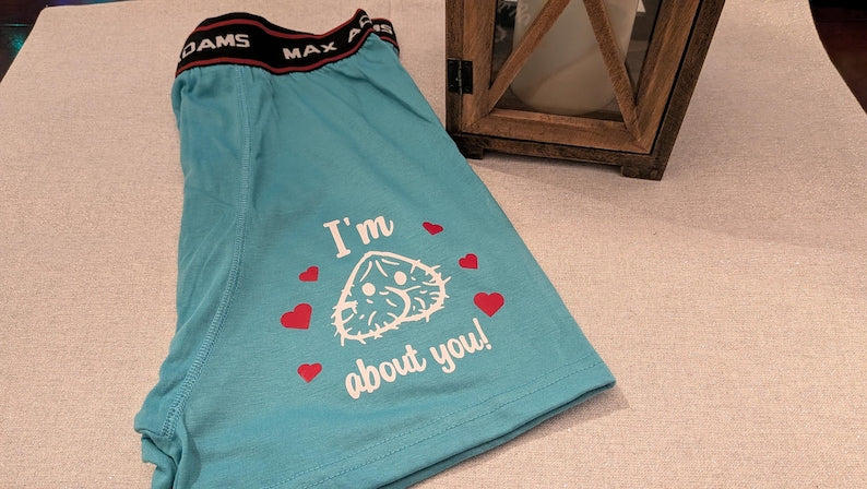 Men's Funny Custom Boxer Brief Underwear (Various Designs)