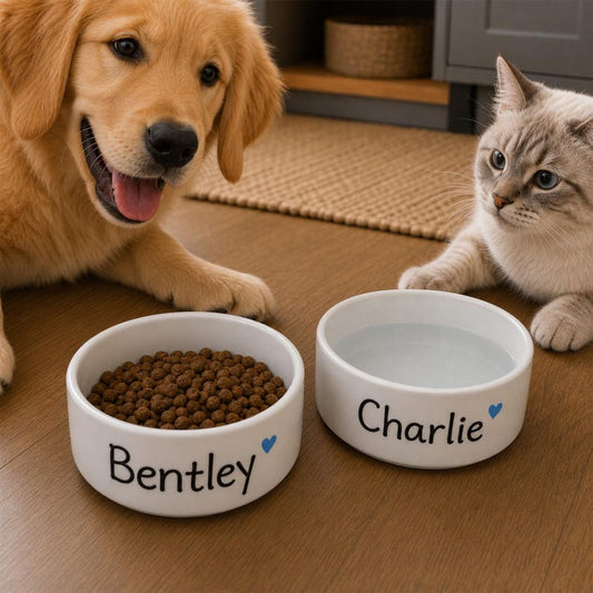 Personalized Pet Bowl: Handmade Ceramic Cat/Dog Food Dish
