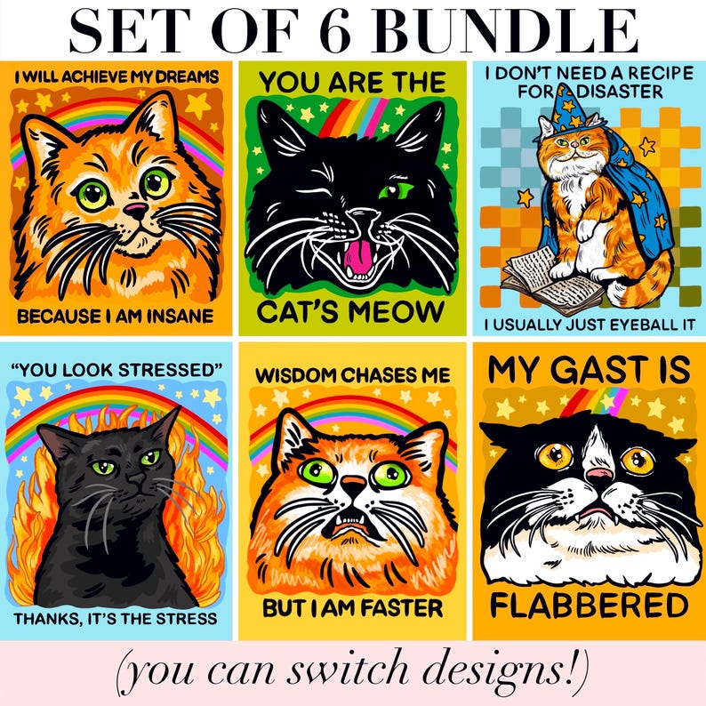 Funny Magnet Black Cat Owner Gift Funny Locker Magnet Cat Lover Decor Cute Gift Cat Themed Humor Fridge Decor Goofy Cubicle Affirmation Fun
