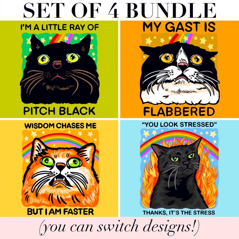 Funny Black Cat Magnet Hillarious Cat Owner Gift Vet Tech Locker Magnet Cat Lover Decor Cute Gift Idea Cat Themed Humor Fridge Decor Goofy
