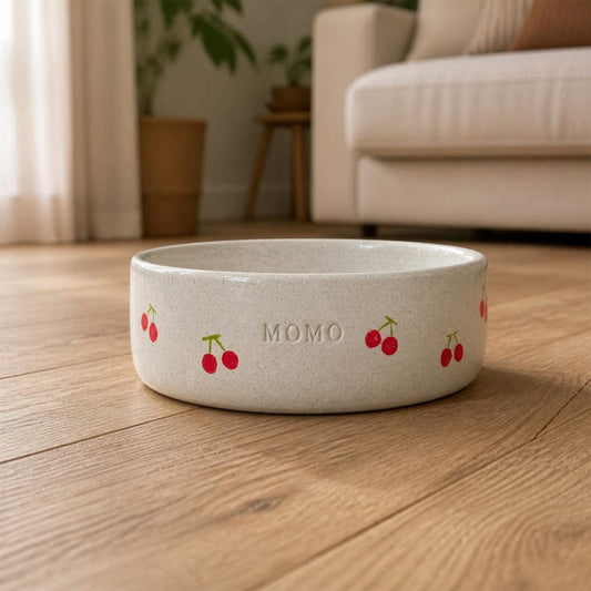 Personalized Ceramic Pet Bowl, Custom Name Dog Cat Food Dish, Fruit Pattern Handmade