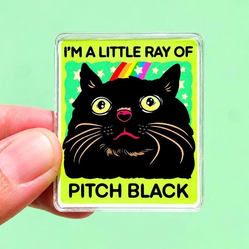 Funny Black Cat Magnet Hillarious Cat Owner Gift Vet Tech Locker Magnet Cat Lover Decor Cute Gift Idea Cat Themed Humor Fridge Decor Goofy