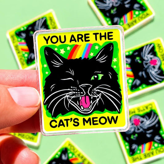 Funny Magnet Black Cat Owner Gift Funny Locker Magnet Cat Lover Decor Cute Gift Cat Themed Humor Fridge Decor Goofy Cubicle Affirmation Fun