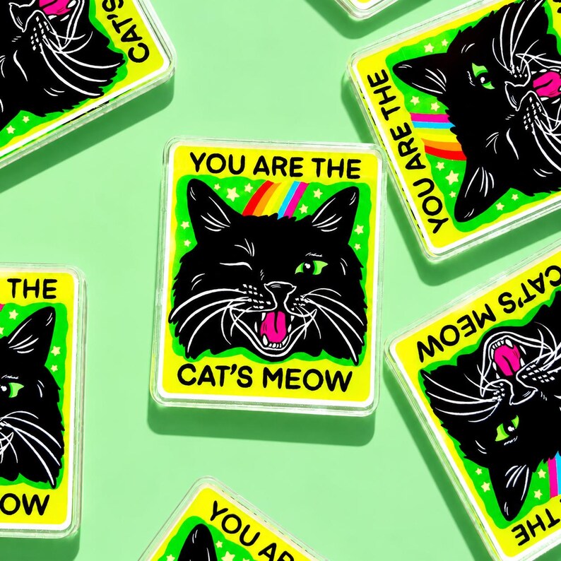 Funny Magnet Black Cat Owner Gift Funny Locker Magnet Cat Lover Decor Cute Gift Cat Themed Humor Fridge Decor Goofy Cubicle Affirmation Fun