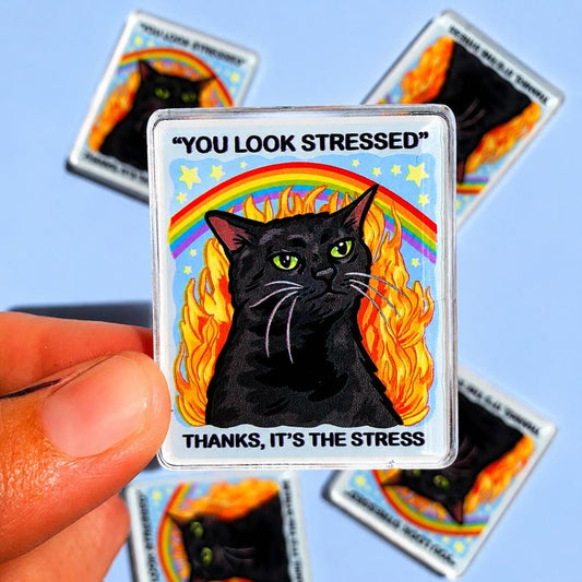 Black Cat Magnet Funny Kitty Magnet Fridge Decor Sarcastic Gift Coworker Unhinged Car Magnet Hilarious Gift for Dad Quirky Magnet Home