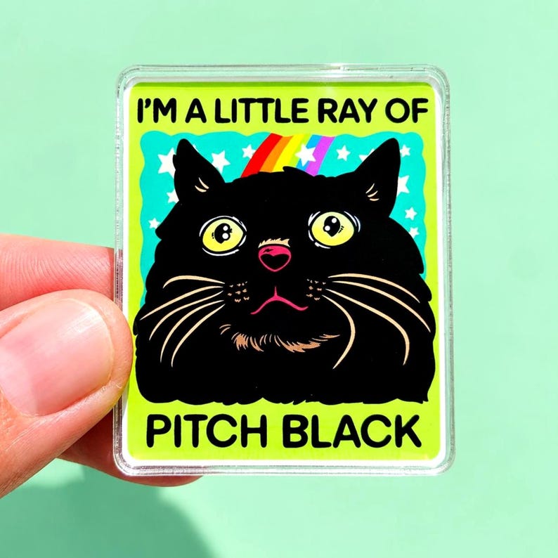 Funny Black Cat Magnet Hillarious Cat Owner Gift Vet Tech Locker Magnet Cat Lover Decor Cute Gift Idea Cat Themed Humor Fridge Decor Goofy