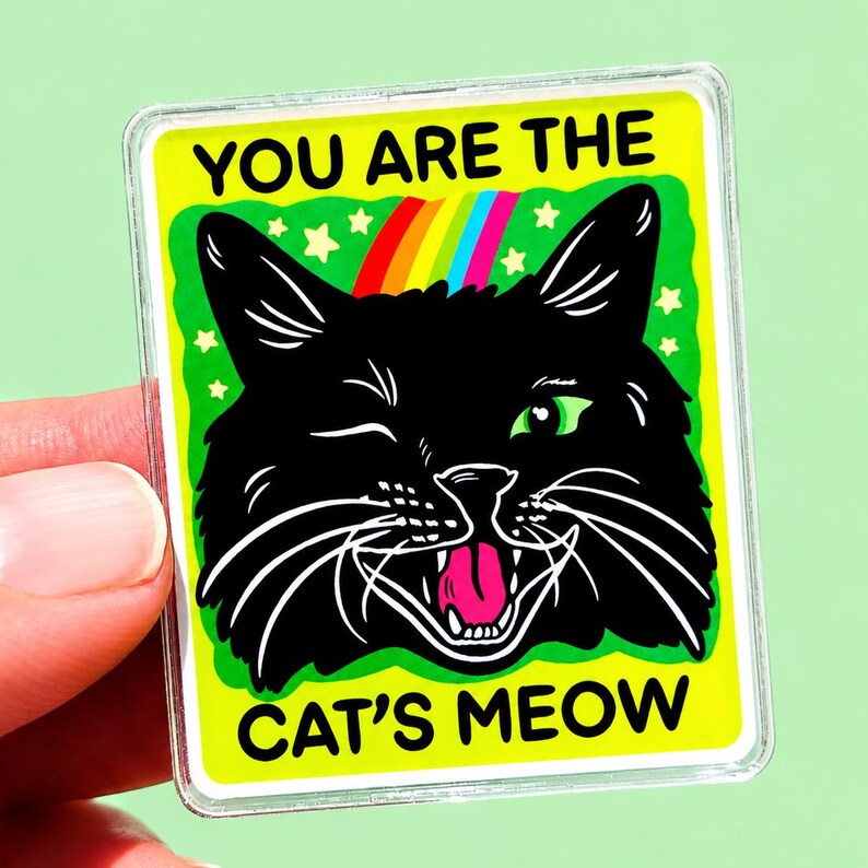 Funny Magnet Black Cat Owner Gift Funny Locker Magnet Cat Lover Decor Cute Gift Cat Themed Humor Fridge Decor Goofy Cubicle Affirmation Fun