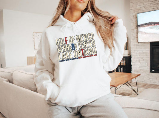 Subtle FDT Political Hoodie, Gulf Of Mexico Lake Ontario Graphic Hoodie, Anti Trump Liberal Gift, Political Activist Top