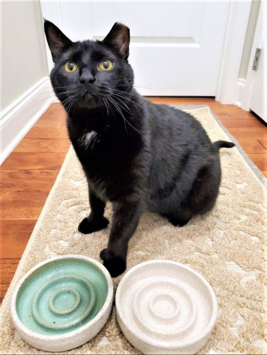 Slow Feeder Handmade Ceramic Cat Bowl