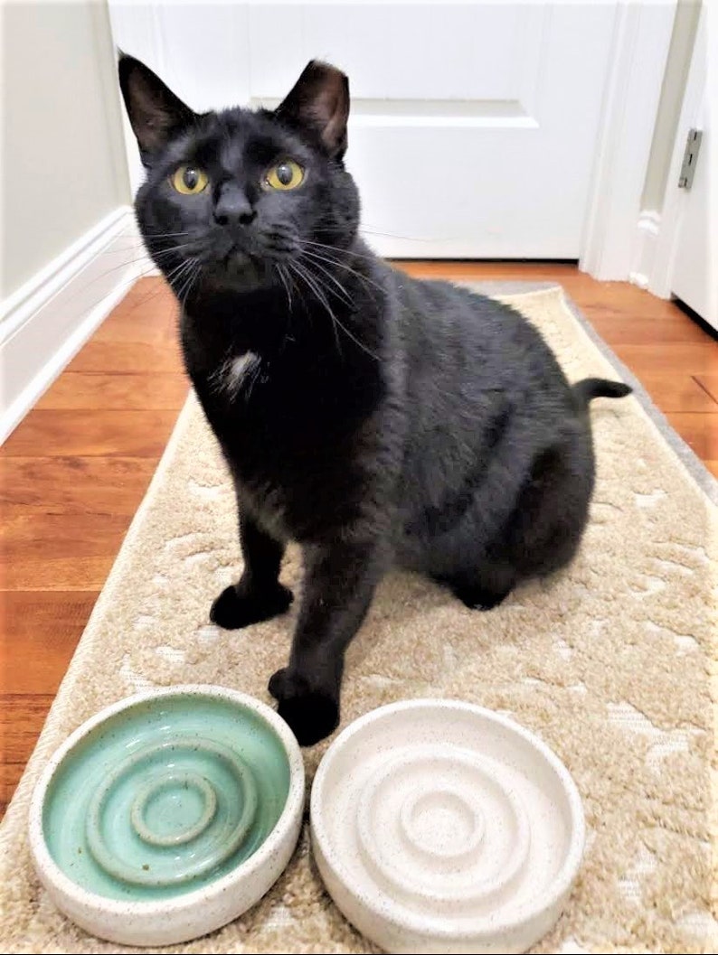 Personalized Slow Feeder Handmade Ceramic Cat Bowl | Custom Bowl | Custom Feeder Bowl | Customization | Pottery | Pet Feeder Bowl
