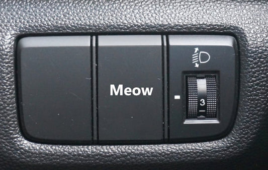 MEOW Button Decal, Car Decal, Eject Passenger Button, Blank Button, Vinyl Decal, Car Stickers, Vinyl Stickers, Eject Sticker, Cat Decal