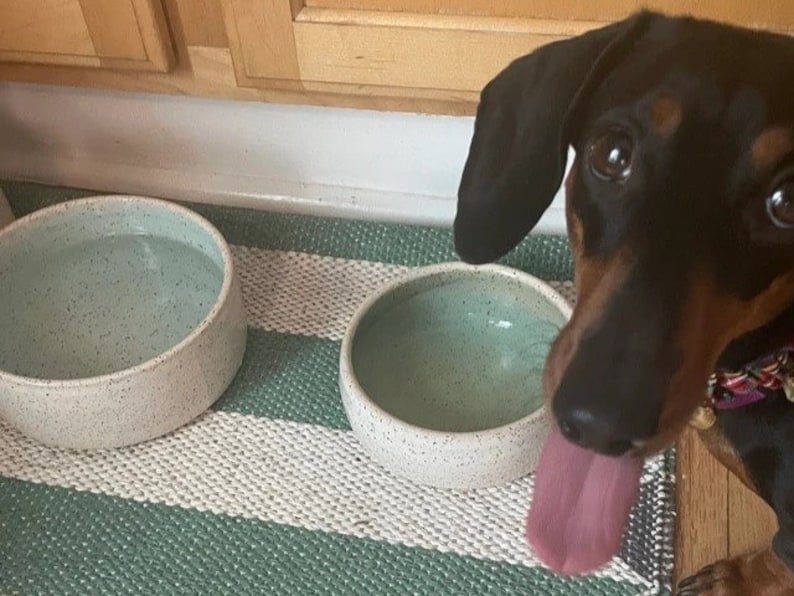 Food or Water Handmade Ceramic Dog Bowl | Pottery | Dog Feeder