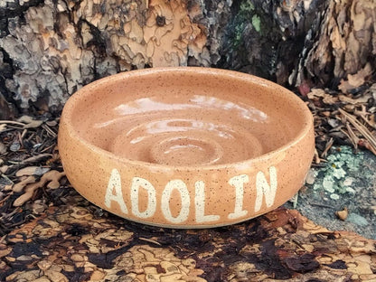 Personalized Slow Feeder Handmade Ceramic Cat Bowl | Custom Bowl | Custom Feeder Bowl | Customization | Pottery | Pet Feeder Bowl