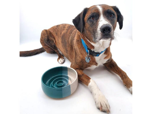 Three Tone Slow Feeder Handmade Ceramic Dog Bowl | Dog Feeder | Pottery | Puzzle Toy | Healthy Eating | Dog Dish