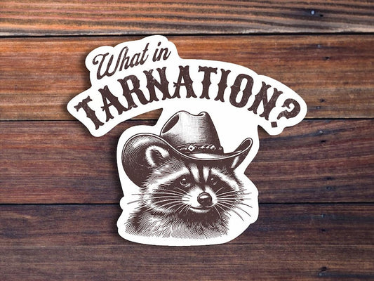 What In Tarnation Raccoon Sticker, Funny Retro Meme Sticker, Sarcastic Country Western Cowboy Sticker, Trendy Raccoon Decal, Waterproof