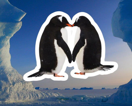Penguin Love Kiss Vinyl Sticker, Waterproof Decal