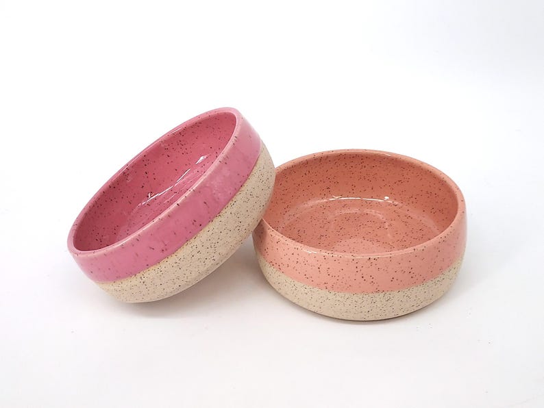 Food or Water 1/3 Dip Handmade Ceramic Dog Bowl | Pottery | Dog Feeder