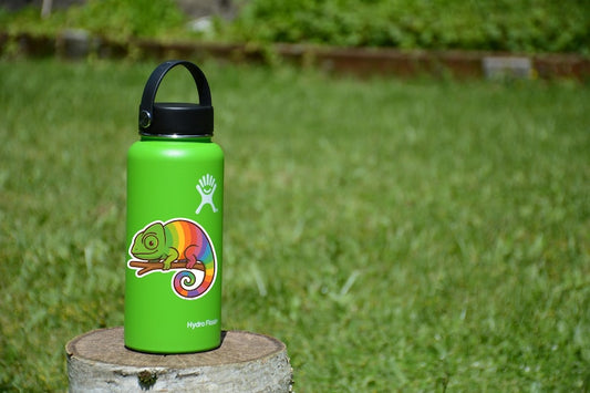 Rainbow Chameleon Vinyl Sticker – Waterproof Laptop Decal