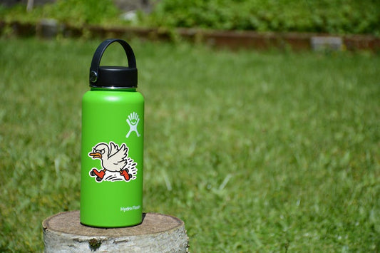 Angry Duck on Roller Skates Sticker: Funny Vinyl Decal