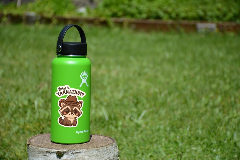 What in Tarnation? Raccoon Vinyl Sticker – Western Cowboy Animal Design