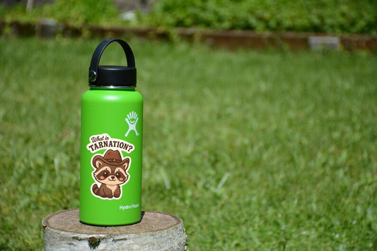 What in Tarnation? Raccoon Vinyl Sticker – Western Cowboy Animal Design