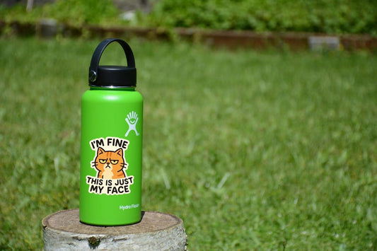 Grumpy Cat Vinyl Sticker: Funny Sarcastic Meme Decal - Laptop, Water Bottle