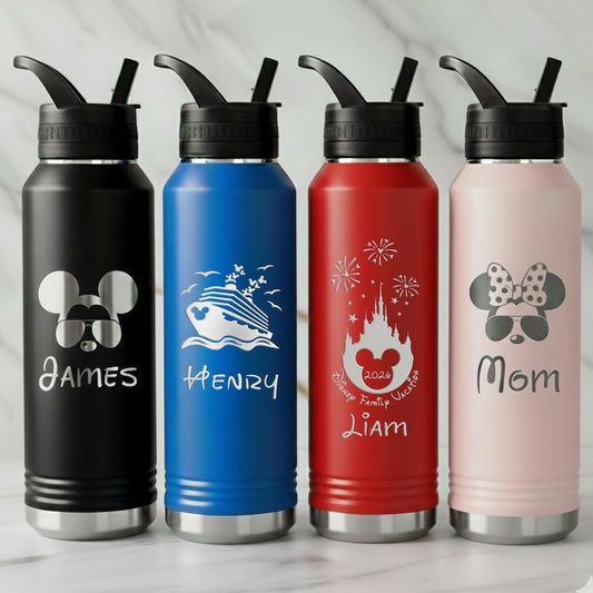 Personalized Disney Water Bottle, Mickey Minnie Disney Castle Cruise Engraved Stainless Steel Tumbler, Disney 2026 Family Cups
