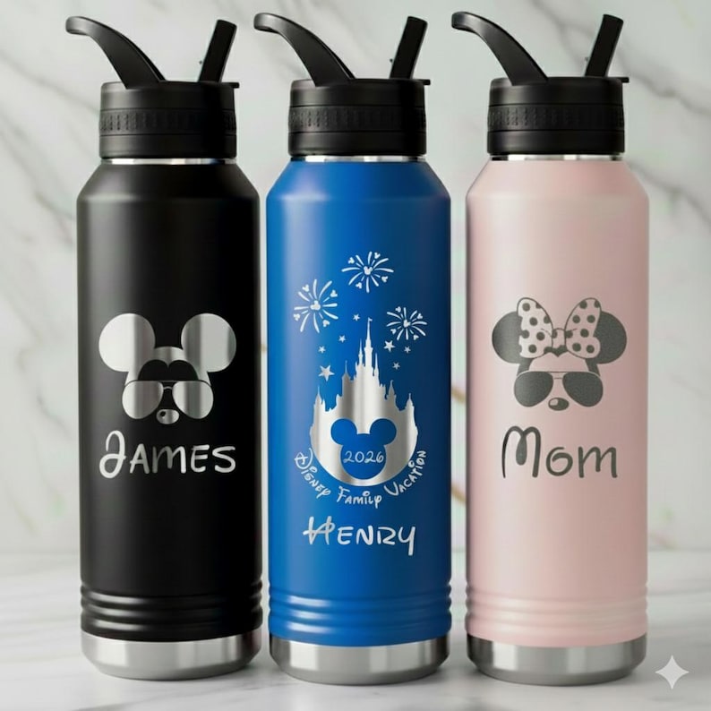Personalized Disney Water Bottle, Mickey Minnie Disney Castle Cruise Engraved Stainless Steel Tumbler, Disney 2026 Family Cups