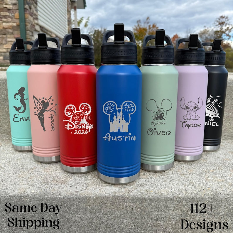 Personalized Disney Water Bottle, Mickey Minnie Disney Castle Cruise Engraved Stainless Steel Tumbler, Disney 2026 Family Cups