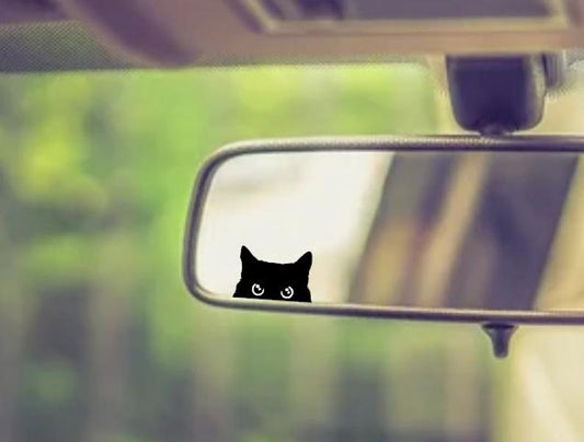 Cat Peeker Decal, Car Decal, Black Cat Peeker Sticker, Blank Button, Vinyl Decal, Car Stickers, Vinyl Stickers, Eject Sticker, Cat Decal