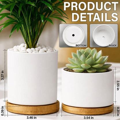 Bookshelf Vintage Plant Pot Ceramic Plant Pot, Succulent Planter, Books And Floral Design, Book Lover Gift, Teacher Gift