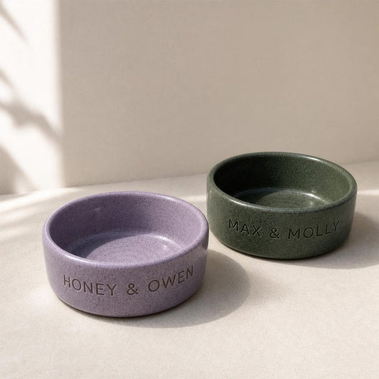 Customized Ceramic Pet Bowl, Handmade Dog Cat Dish, Personalized Name Engraving, Minimalist Pottery Style