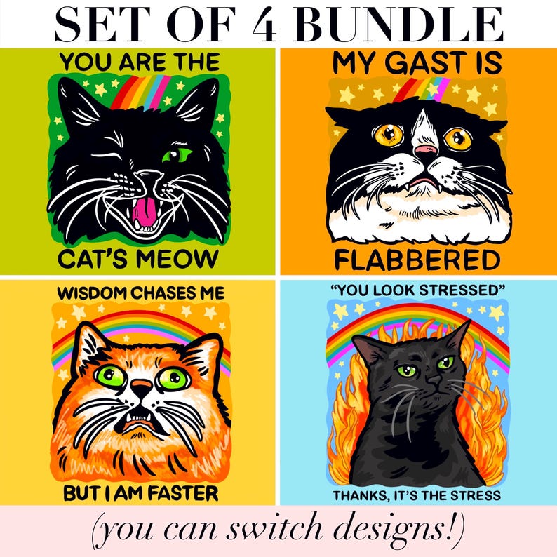 Funny Magnet Black Cat Owner Gift Funny Locker Magnet Cat Lover Decor Cute Gift Cat Themed Humor Fridge Decor Goofy Cubicle Affirmation Fun