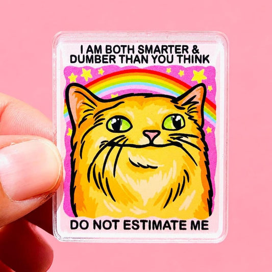 Funny Orange Cat Pink Magnet Hillarious Cat Owner Gift Vet Tech Locker Magnet Cat Lover Decor Cute Gift Cat Themed Fridge Decor Dopamine