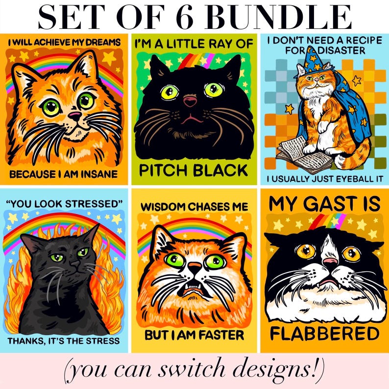 Funny Black Cat Magnet Hillarious Cat Owner Gift Vet Tech Locker Magnet Cat Lover Decor Cute Gift Idea Cat Themed Humor Fridge Decor Goofy