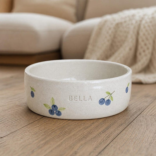 Personalized Ceramic Pet Bowl, Custom Name Dog Cat Food Dish, Fruit Pattern Handmade