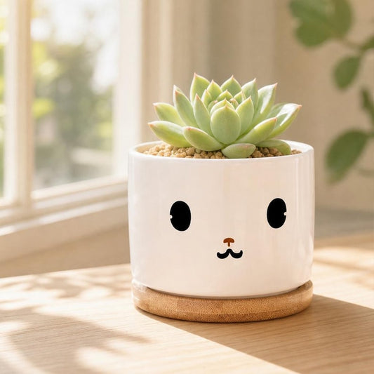 Kawaii Face Ceramic Plant Pot, Cute Funny Face Planter, Minimalist Succulent Pot, Playful Home Decor, Gift for Plant Lovers