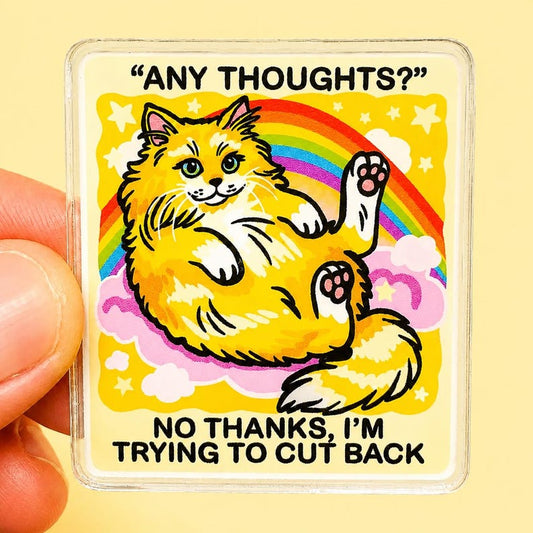 Cat Magnet Sarcastic Gift Idea Funny Fridge Decor Kitchen Humor Cat Lover Gift Quirky Office Dopamine  Decor Desk Humor Hilarious Quote