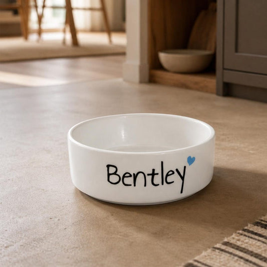 Personalized Pet Bowl: Handmade Ceramic Cat/Dog Food Dish