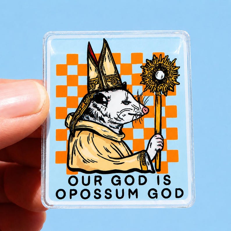 Funny Possum Magnet Opposum Gift Idea Possum Lover Decor Fridge Irreverent Humor Ironic Gift Youth Pastor Goofy Locker Magnet Catholic Humor