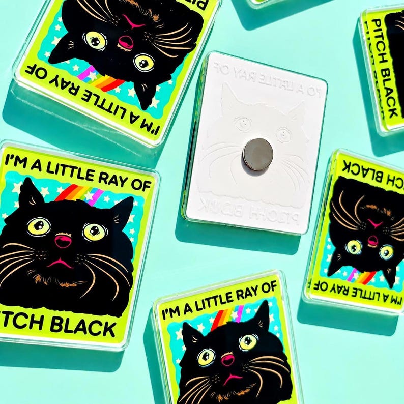 Funny Black Cat Magnet Hillarious Cat Owner Gift Vet Tech Locker Magnet Cat Lover Decor Cute Gift Idea Cat Themed Humor Fridge Decor Goofy