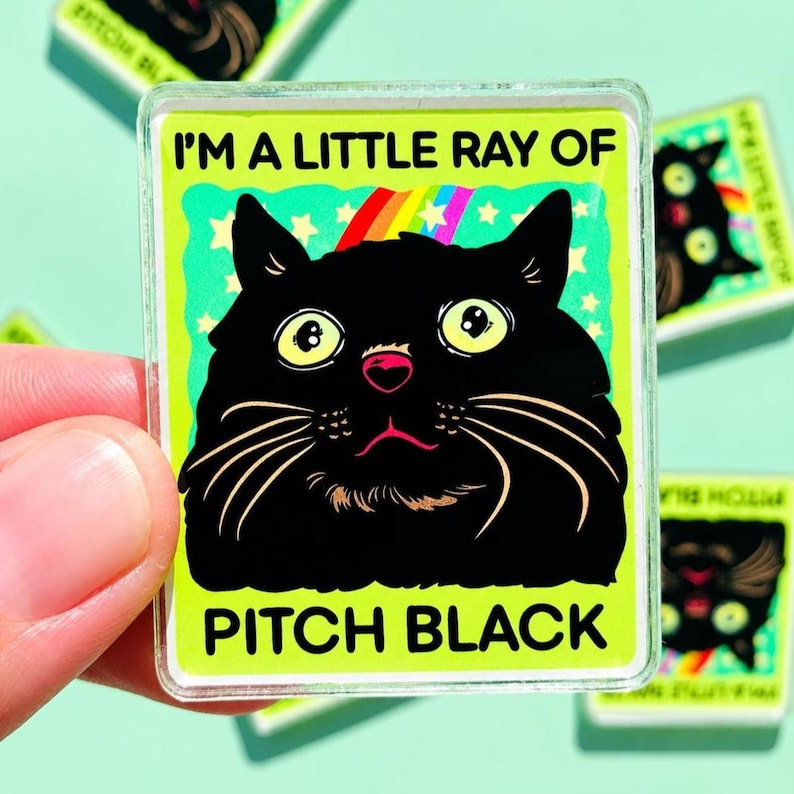 Funny Black Cat Magnet Hillarious Cat Owner Gift Vet Tech Locker Magnet Cat Lover Decor Cute Gift Idea Cat Themed Humor Fridge Decor Goofy