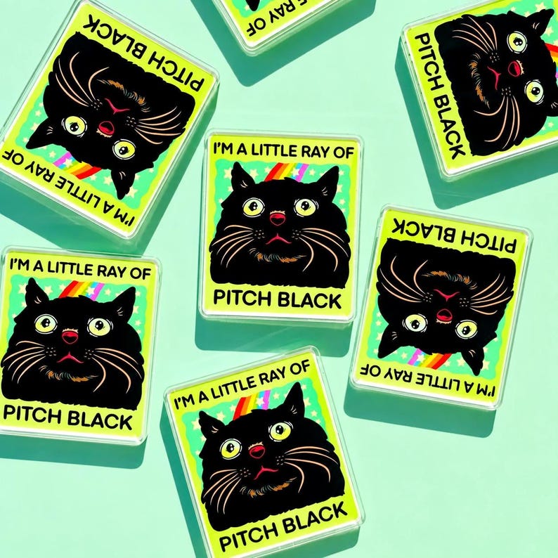 Funny Black Cat Magnet Hillarious Cat Owner Gift Vet Tech Locker Magnet Cat Lover Decor Cute Gift Idea Cat Themed Humor Fridge Decor Goofy